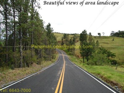 1005 - Hornito - propiedades