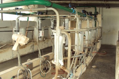 10283 - Boquerón - fincas