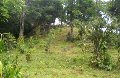 10293 - Capira - lotes