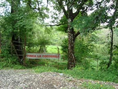 10296 - Buena vista - lotes