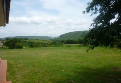 10336 - Ciudad de Panamá - fincas