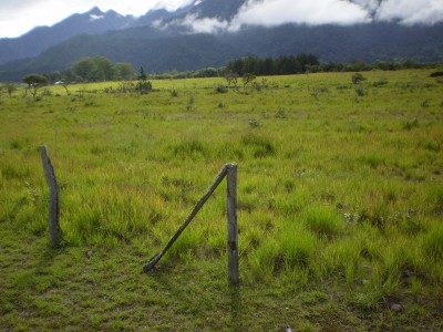 10585 - Bugaba - lots