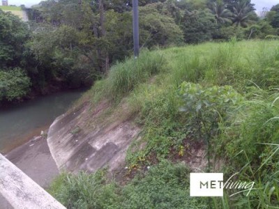 106126 - Tumba muerto - lotes