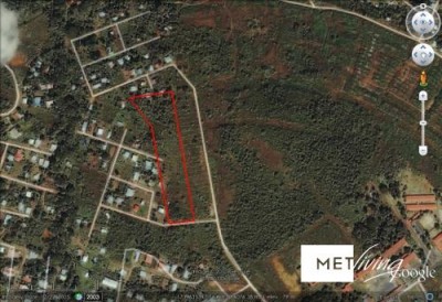 106390 - La Chorrera - lots