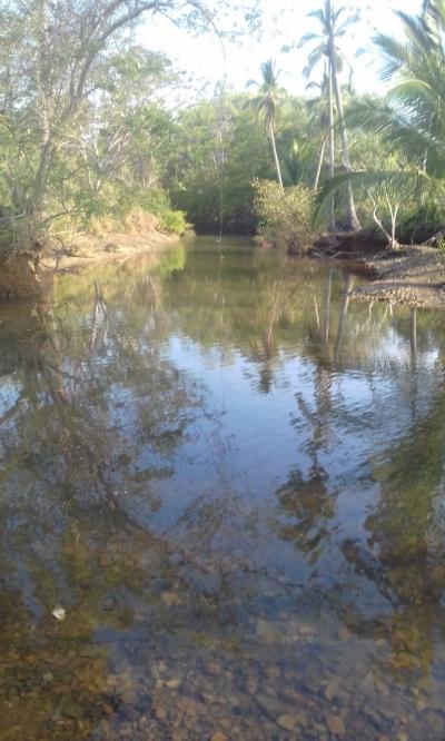 107708 - Mariatos - fincas