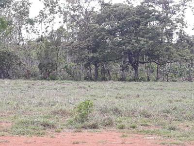 108053 - Aguacatal - propiedades