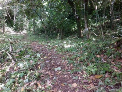 108082 - Portobelo - lotes