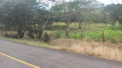 108191 - La Pintada - lotes