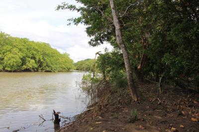 108607 - Punta chame - lots