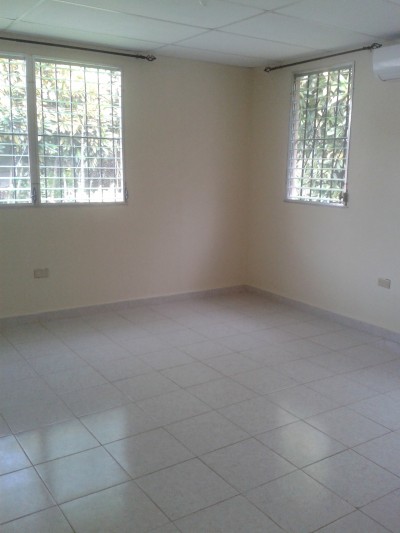 10943 - David - casas