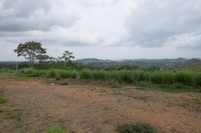 109536 - Ernesto cordoba campos - lotes