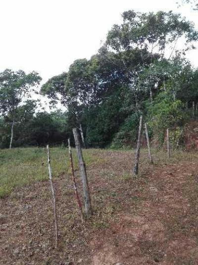 109716 - El valle de anton - lotes