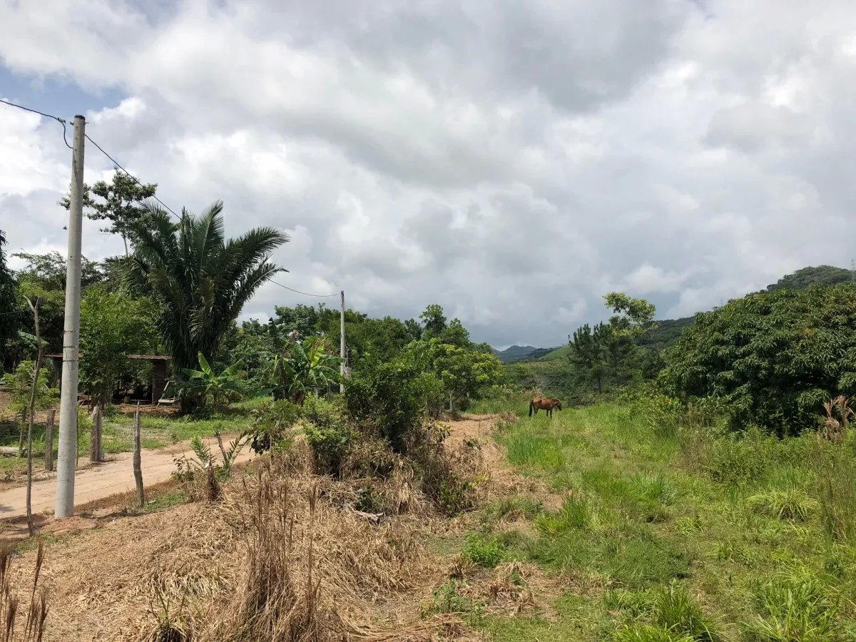 3.5 HA for sale, bordering river with beautiful natural swimming pool.