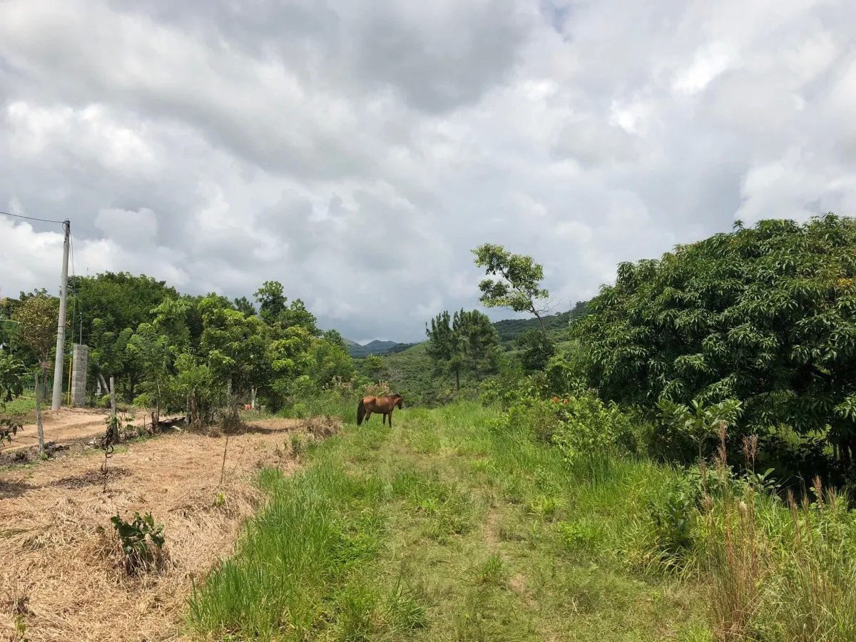 3.5 HA for sale, bordering river with beautiful natural swimming pool.