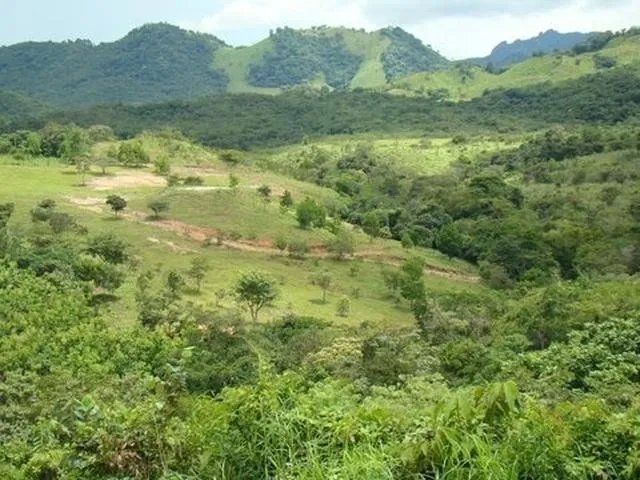 3.5 HA for sale, bordering river with beautiful natural swimming pool.