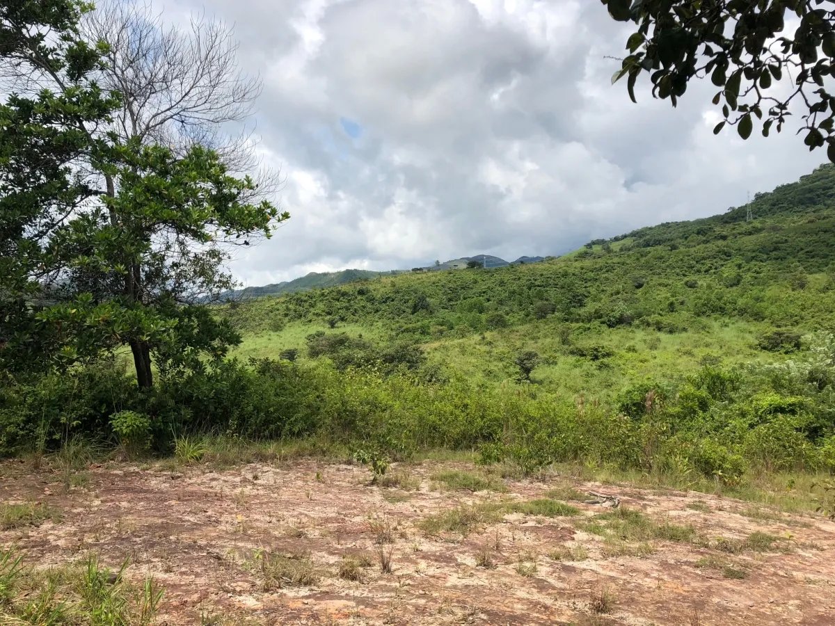 3.5 HA for sale, bordering river with beautiful natural swimming pool.