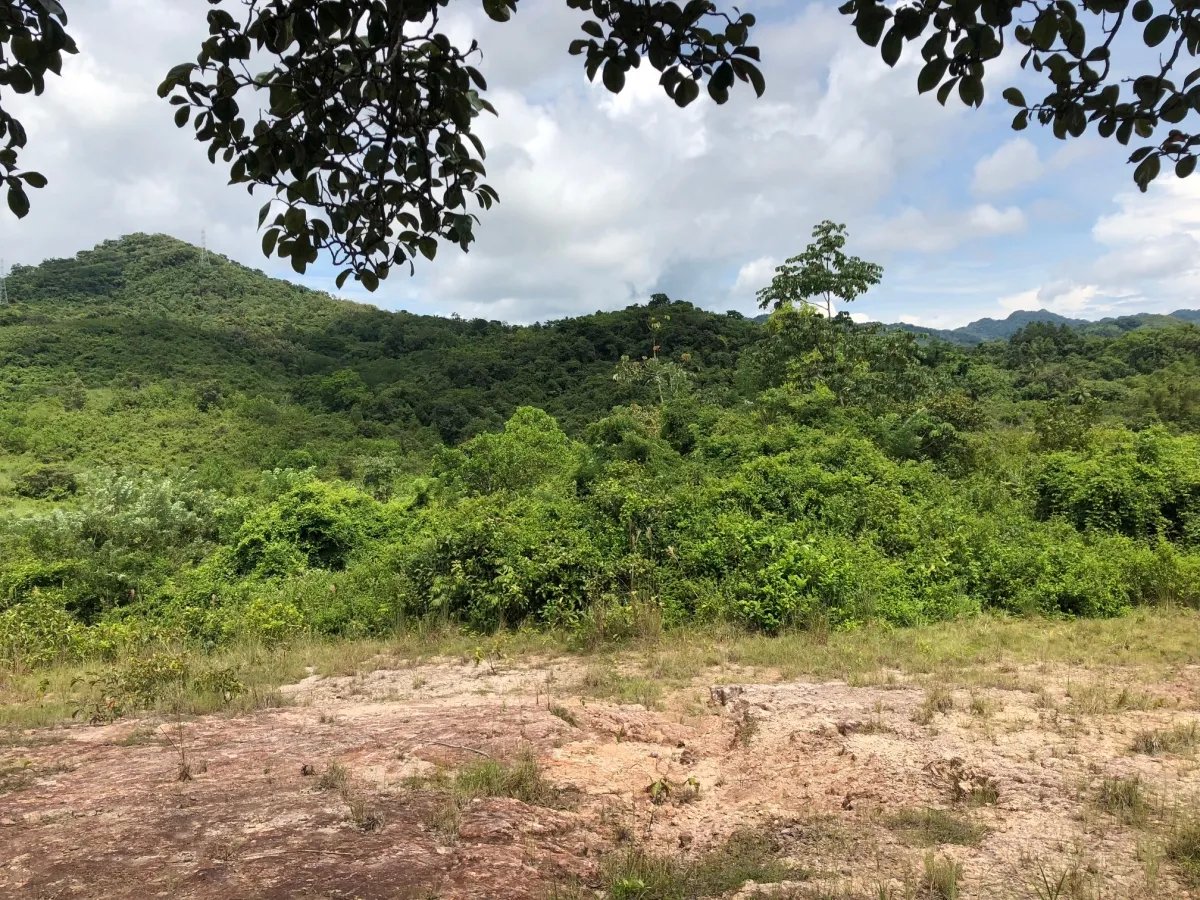 3.5 HA for sale, bordering river with beautiful natural swimming pool.