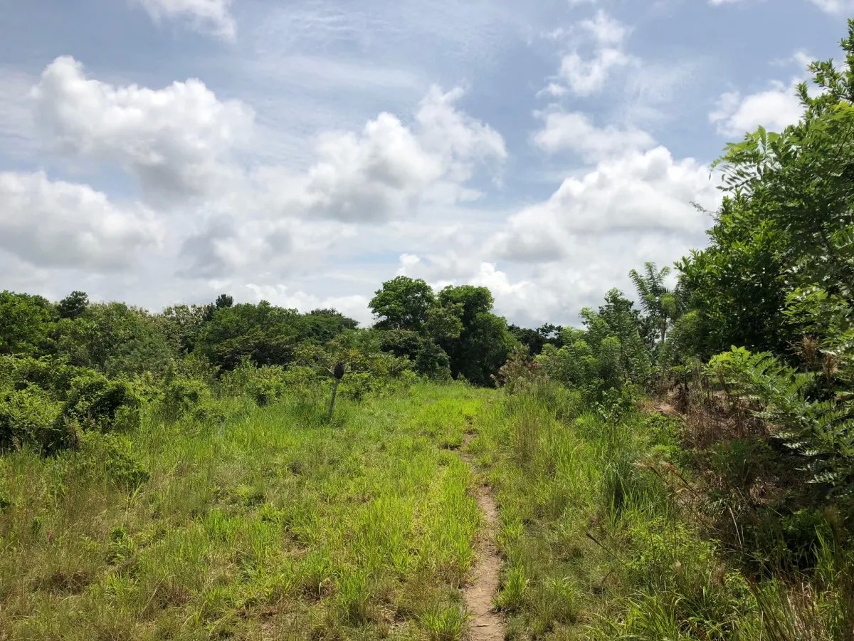 3.5 HA for sale, bordering river with beautiful natural swimming pool.