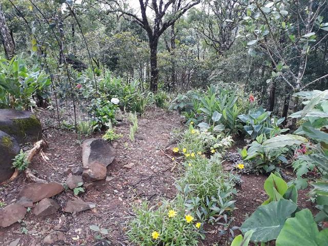 Lote de Casa en Venta en La Pintada