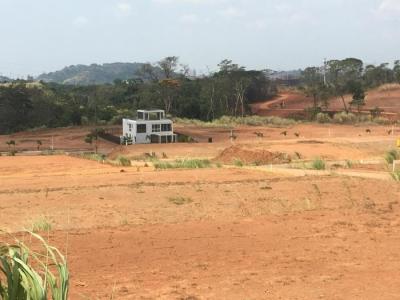 112365 - Ernesto cordoba campos - lotes