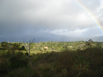 11238 - Palmira - boquete - lotes