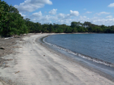 112704 - Colón - fincas