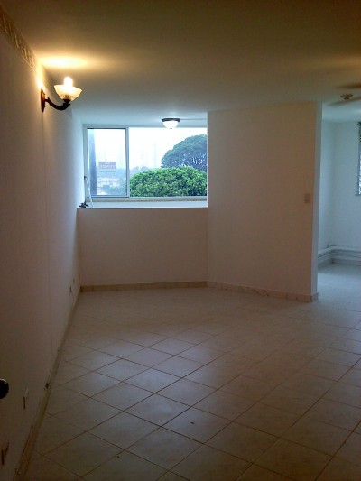 11271 - Campo limberg - propiedades