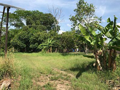 112887 - San Félix - fincas