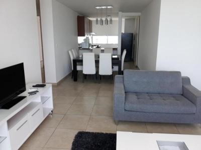 113030 - San francisco - apartamentos