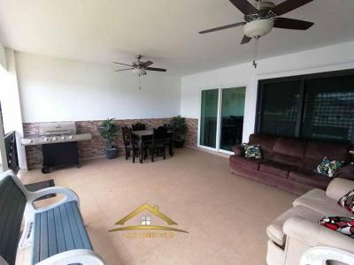 113356 - David - casas