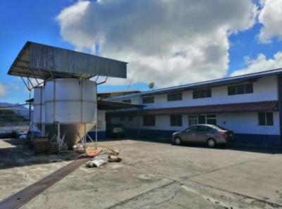 114557 - Chiriquí - locales