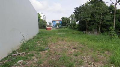 114731 - Pueblo nuevo - lots