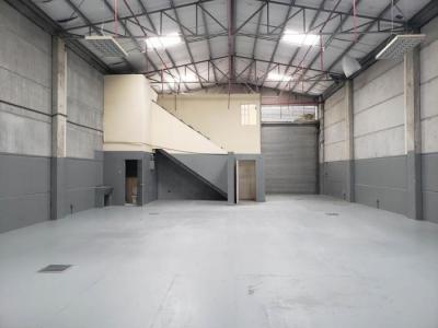 114965 - Chanis - galeras