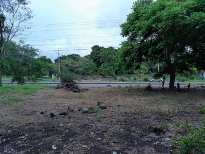 115228 - Alto boquete - lotes