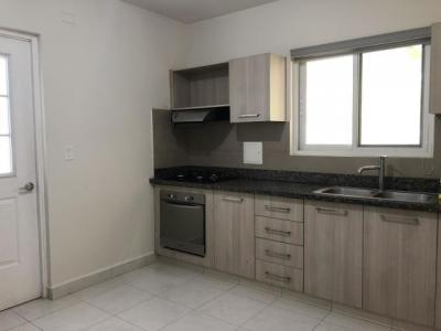 115265 - Versalles - casas - quintas de versalles