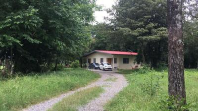 115269 - Dolega - propiedades