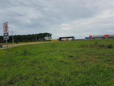 115482 - Tocumen - lotes