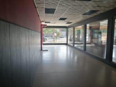 115895 - Marbella - locales