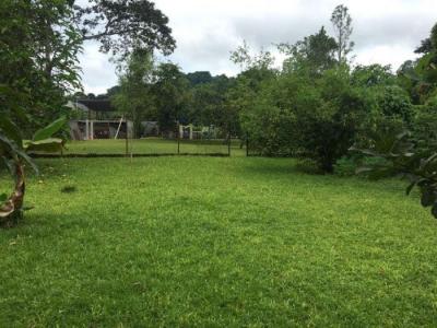 116086 - Chilibre - properties