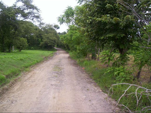 Se vende terreno de 6.3 has en gorgona a buen precio