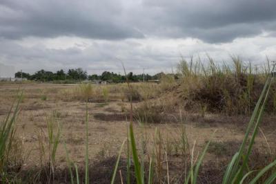 116303 - Pacora - lotes