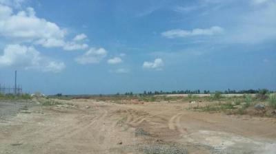 116307 - Tocumen - lotes