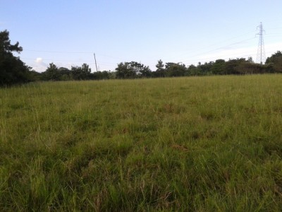 11694 - Aguadulce - fincas