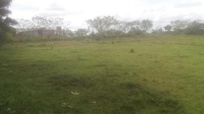 117226 - El espino - lotes