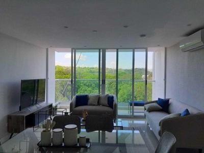 117273 - Tumba muerto - propiedades - coral plaza