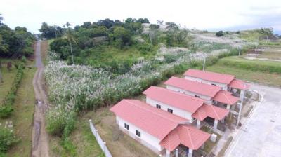 117653 - Las mañanitas - lotes