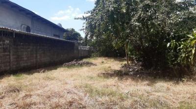 117928 - San Carlos - david - lotes