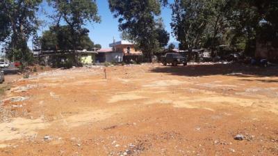 117971 - David - lotes