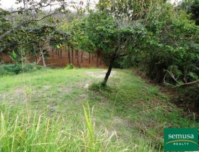 11799 - La ermita - lotes