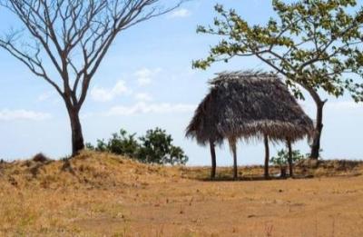 118391 - Tonosí - lots